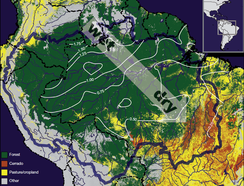 Illustration for article titled Earth's Tropical Rainforests Could Look Completely Different By the End of the Century